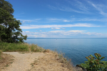 Summer coastal landscape - clear Black Sea under blue sky. Sandy high bank with trees. Copy space.