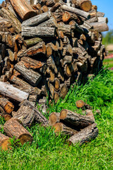 Pile of firewood on a green lawn at backyard
