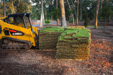 Fototapeta na wymiar Small yellow tractor with forklift attachment prepared to lift pallet of cut sod at landscaping work site in early morning with no people