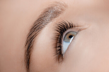 Eyelash extension procedure. Classic volume black fake long lashes beautiful female eyes