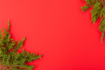 Christmas symbol. Two branches of a coniferous tree on a red background. There are no people in the photo. There is an empty space for your insert. Low angle view. Minimalism.