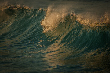 nature, rivers, falls, fall, waterfalls, bamboo, waves, ocean, winter, spring, rainbows, garden, flowers, island, sunset, California, San Diego, San Francisco 