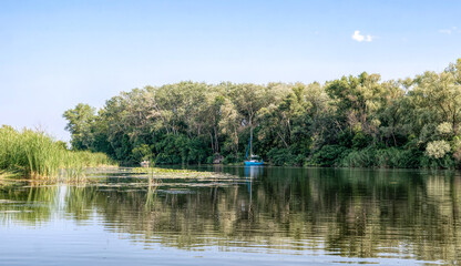 Obraz premium River pleasure boat and swampy riverbanks in Louisiana
