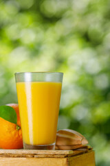 glass of cold freshly squeezed orange juice