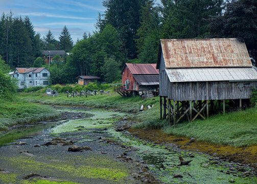 Hammer Slough, Petersburg