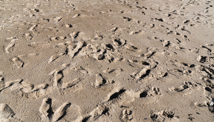 Background with beach sand and many footprints in them, light brown tone