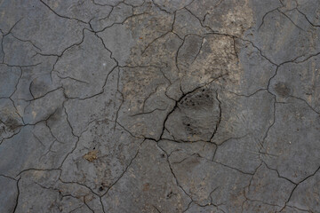 Obraz premium Close-up photo of the rough texture and gray color of the cracked earth in the area of ​​muddy volcanoes in Buzau, Romania; background photography