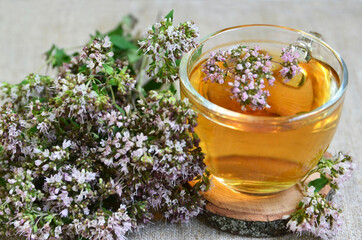 Oregano tea in a glass cup with fresh blooming herb twigs.Healthy drink,diet,alternative therapy or herbal medicine concept.Selective focus.