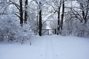 Winter landscape with trails and gates in the snow