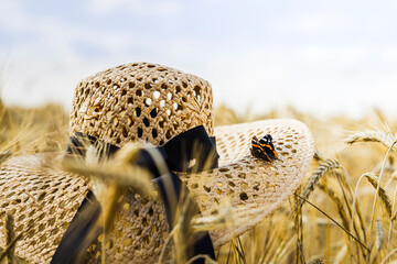 straw hat with butterfly in the wheat, sunny day