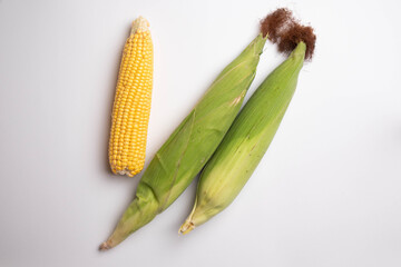 Fresh corn cobs on flat white background