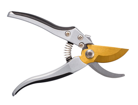 Garden secateurs isolated on a white
