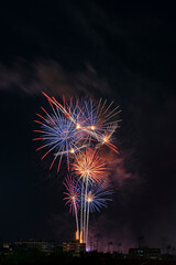 Fuegos artificiales con muchos colores sobre la ciudad y  fondo negro en formato vertical con espacio.