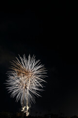 Fuegos artificiales con muchos colores sobre la ciudad y  fondo negro en formato vertical con espacio.