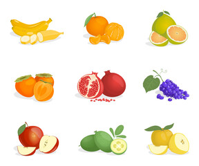 Banana, orange, guava, persimmon, pomegranate, grape, apple, pomelo, and feijoa vector cartoon illustrations. Ripe juicy delicious tropical fruits and slices full of vitamins. Fresh exotic fruits.
