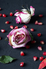 beautiful dried rose buds on a dark concrete or slate background. dried flowers.
