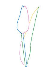 Tulip line vector illustration. Minimalist flower element