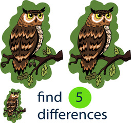 A game for children to find the differences. Owl