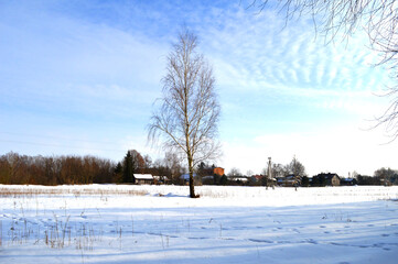 A cold winter day in Poland - obrazy, fototapety, plakaty