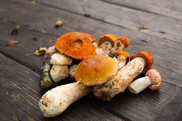several boletus mushrooms on a wooden table with top view