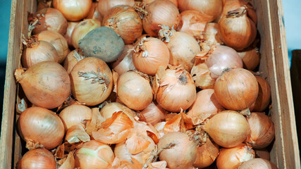 Close-up of counter with onions. Organic food concept