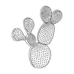 Cactus of flower vector icon.Outline vector icon isolated on white background cactus of flower.