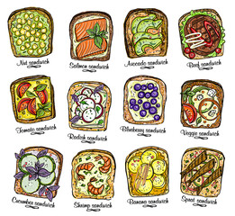 Assorted sandwiches vector illustration.