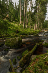 Color summer Studena Vltava river near Stozec village in national park
