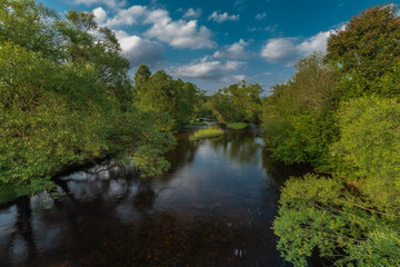 Tepla Vltava river near Lenora village in summer sunny evening