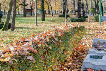 View of the autumn Park