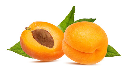 Apricots with leaves isolated on white background with clipping path