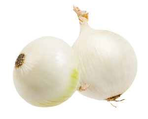 Two white onions isolated on white background  with clipping path