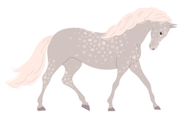 Gray light horse with many small spots.