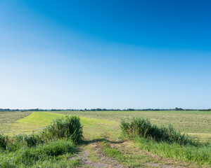 entrance to green meadow with mown grass on sunny summer day between alkmaar and hoorn in west-friesland