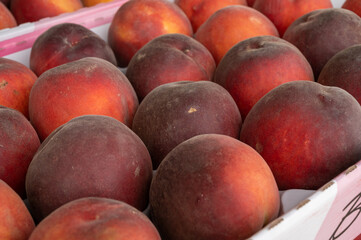 New harvest of fresh ripe yellow-red peaches fruits in Provence, France