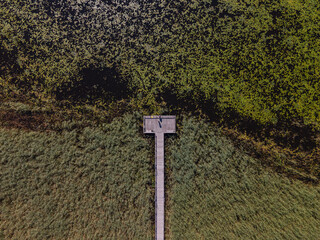 Pier in a swamp in Ekoln Lake, Sweden