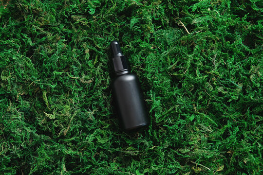 Black essential oil dropper bottle mockup on green moss background. Luxury cosmetics packaging design, branding. Flat lay, top view
