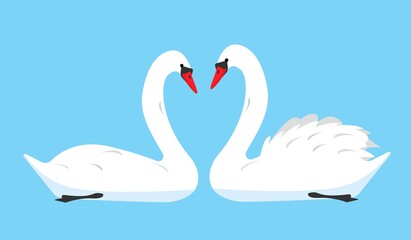 Couple of White swan birds icon isolated on blue background.