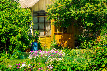Fototapeta na wymiar village house with garden on a sunny summer day