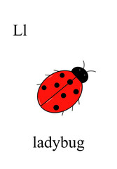 The alphabet, the letter L. Ladybug (Coccinellidae) with red wings on a white isolated background