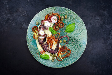 Fototapeta na wymiar Modern style Italian polpo alla griglia su crema di patate with barbecued octopus, potato creme and fried chili onion rings as top view on a Nordic design plate with copy space
