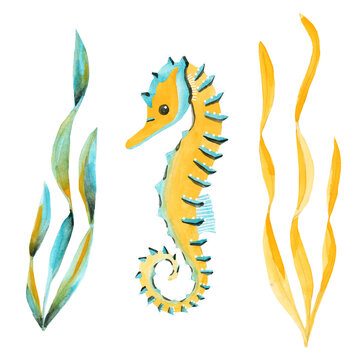 Seahorse in seaweed watercolor on a white background