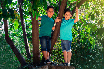 Naklejka na ściany i meble boys play in nature climbing trees, exploration day at camp