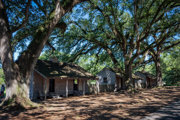 Slave Quarters of Southern Plantation in Lousiana - 447167163