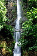 Obraz premium Multnomah Falls