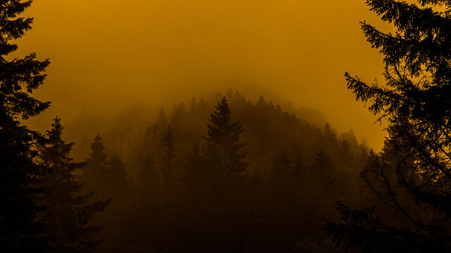Mountain forests covered with clouds, foggy yellowish air