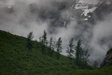 Trees and Mountains, Shakes Lake, Alaska