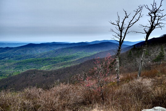 View of the famous Blue Ridge Mountains along Skyline Drive in Virginia, April 2021.