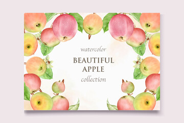 hand drawn watercolor apple card set