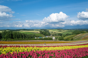 Fototapeta na wymiar 北海道の自然のある風景 Landscape with nature in Hokkaido 